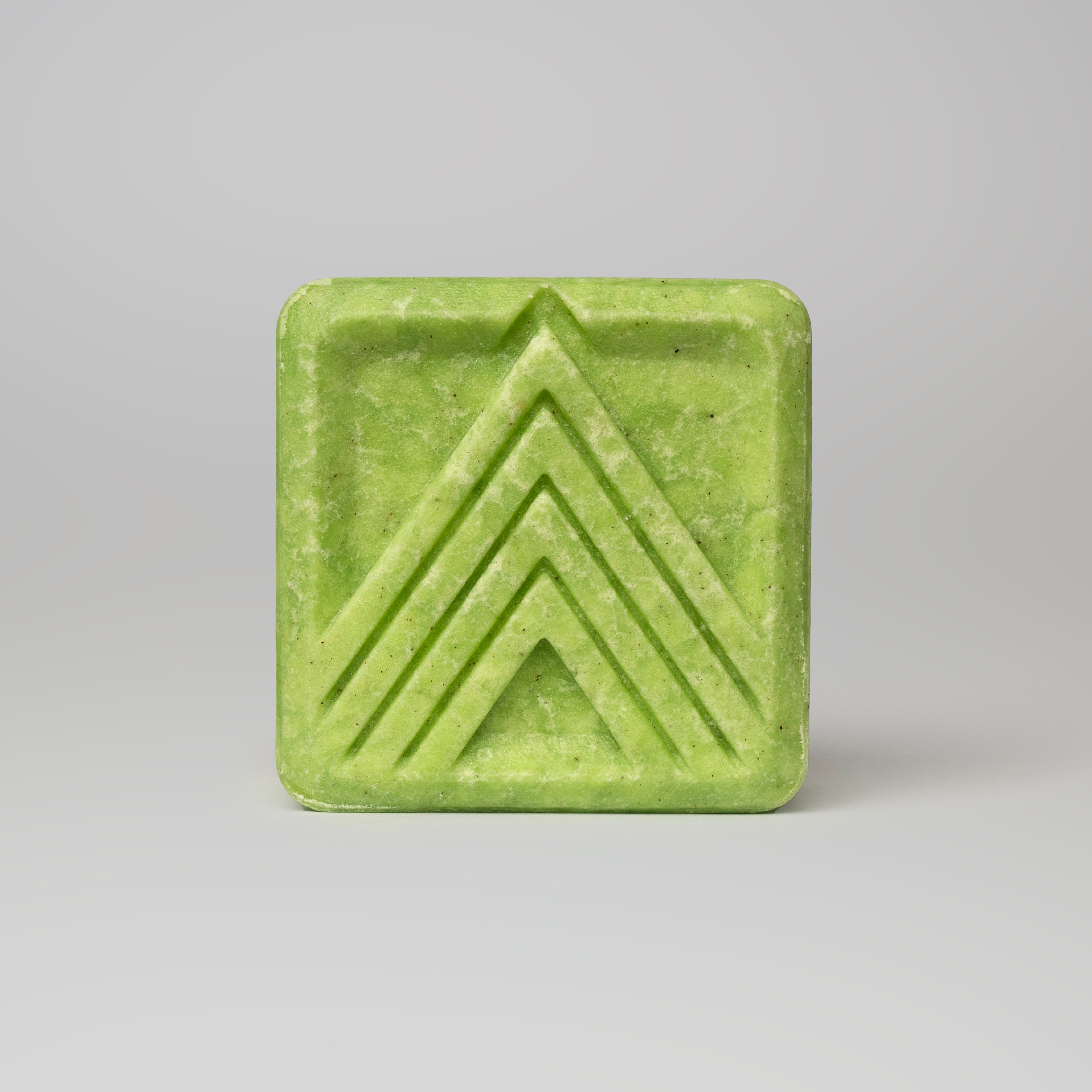 Coming Home (Para cabello graso)