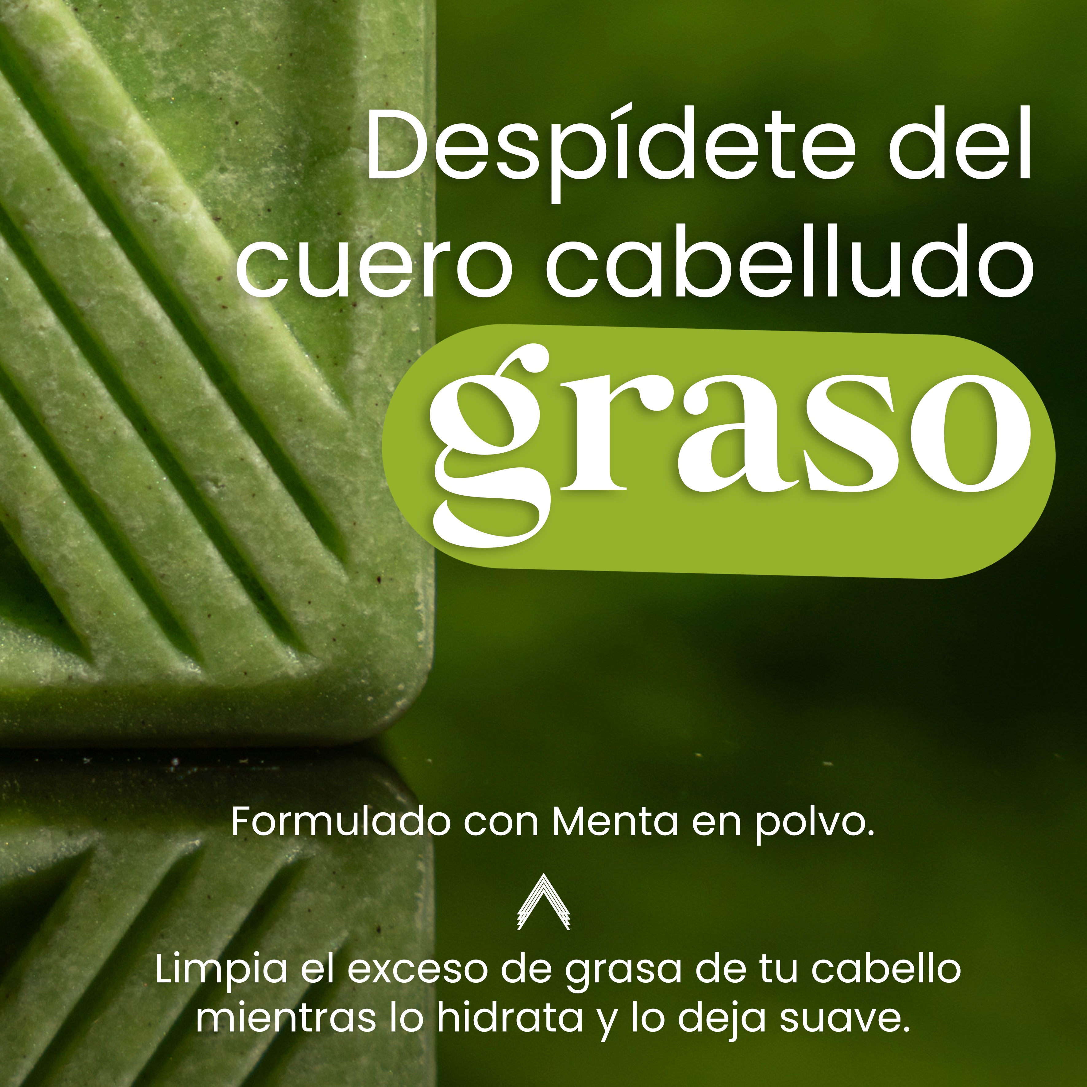 Coming Home (Para cabello graso)