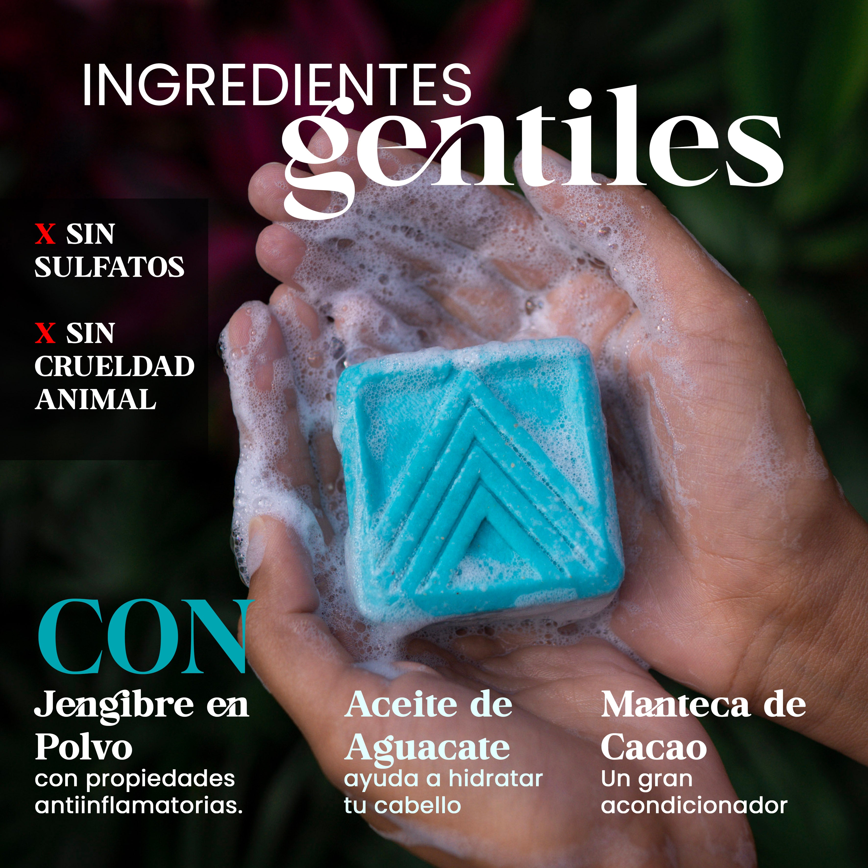 Coastal Drive (Para cabello seco)