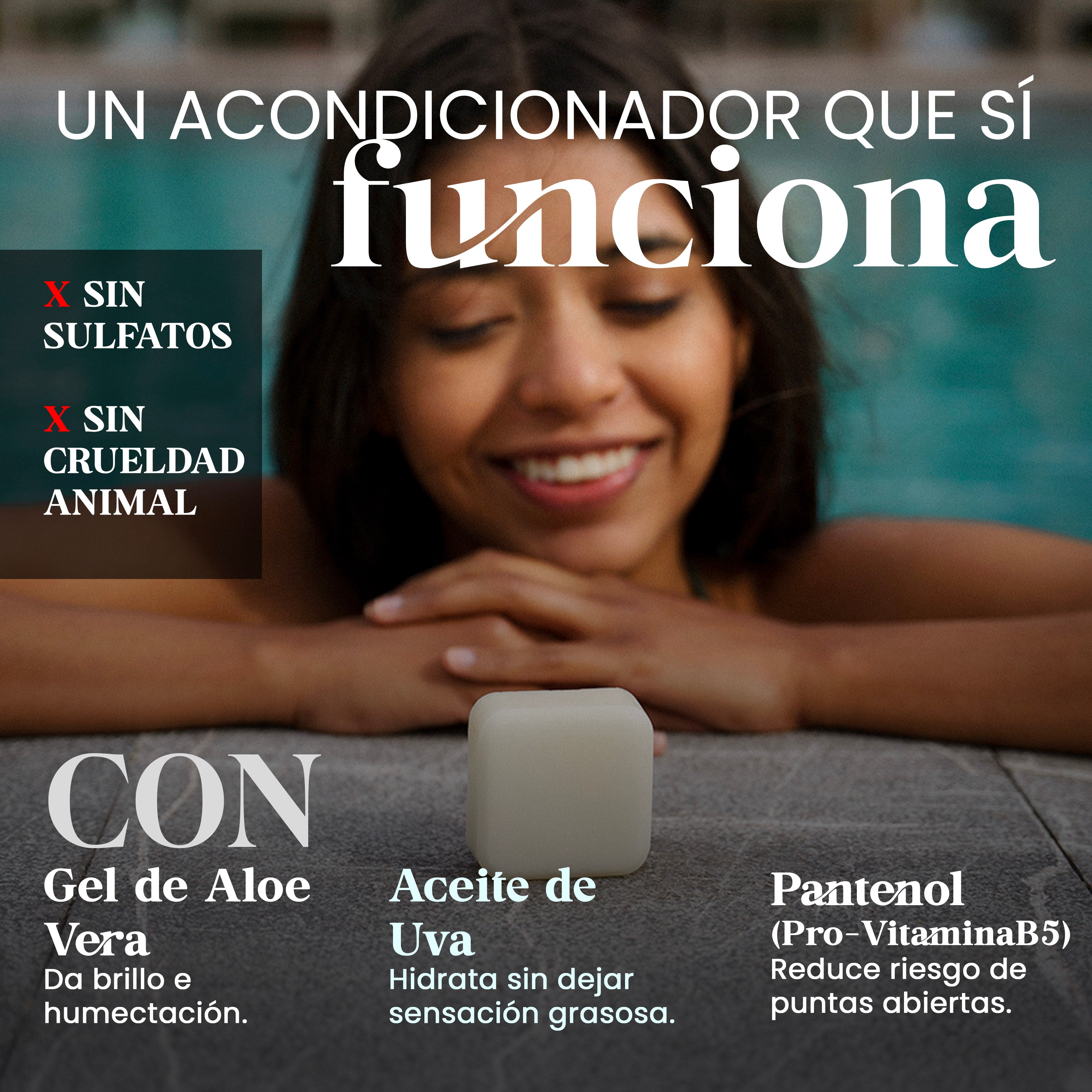 The Journey (Acondicionador)